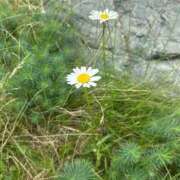 ヒメ日記 2025/10/05 10:59 投稿 みどり 癒し妻 札幌店