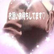 ヒメ日記 2025/10/08 13:36 投稿 みどり 癒し妻 札幌店