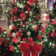 ヒメ日記 2024/12/28 10:44 投稿 シオン 人妻生レンタル