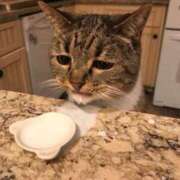 ヒメ日記 2025/04/12 11:50 投稿 シオン 人妻生レンタル