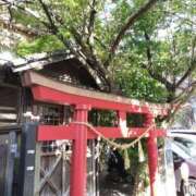 ヒメ日記 2025/06/17 16:00 投稿 シオン 人妻生レンタル