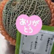 ヒメ日記 2025/06/30 12:40 投稿 シオン 人妻生レンタル