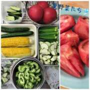 ヒメ日記 2025/07/24 08:50 投稿 シオン 人妻生レンタル