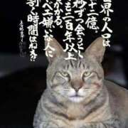 ヒメ日記 2025/10/01 18:20 投稿 シオン 人妻生レンタル