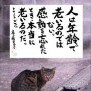 ヒメ日記 2025/10/17 18:50 投稿 シオン 人妻生レンタル
