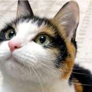 ヒメ日記 2025/12/02 00:51 投稿 シオン 人妻生レンタル