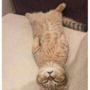 ヒメ日記 2025/12/02 11:40 投稿 シオン 人妻生レンタル