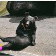 ヒメ日記 2025/12/09 19:10 投稿 シオン 人妻生レンタル