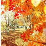 ヒメ日記 2025/12/11 12:40 投稿 シオン 人妻生レンタル