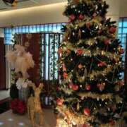 ヒメ日記 2025/12/11 17:50 投稿 シオン 人妻生レンタル