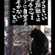 ヒメ日記 2025/12/14 14:06 投稿 シオン 人妻生レンタル