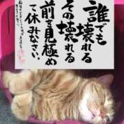 ヒメ日記 2025/12/17 16:21 投稿 シオン 人妻生レンタル