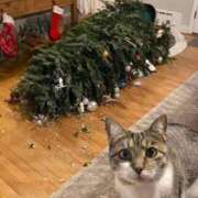 ヒメ日記 2025/12/20 13:50 投稿 シオン 人妻生レンタル