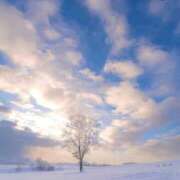 ヒメ日記 2025/12/21 11:00 投稿 シオン 人妻生レンタル