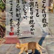 ヒメ日記 2025/12/22 16:50 投稿 シオン 人妻生レンタル