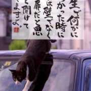 ヒメ日記 2026/01/11 21:50 投稿 シオン 人妻生レンタル