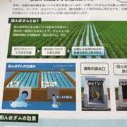 ヒメ日記 2026/03/08 13:45 投稿 シオン 人妻生レンタル