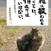 ヒメ日記 2026/03/17 12:24 投稿 シオン 人妻生レンタル