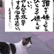 ヒメ日記 2026/03/19 18:40 投稿 シオン 人妻生レンタル