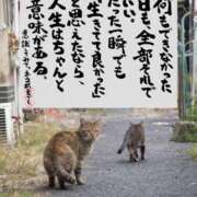 ヒメ日記 2026/03/25 21:20 投稿 シオン 人妻生レンタル