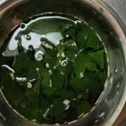 ヒメ日記 2026/03/26 19:10 投稿 シオン 人妻生レンタル