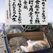 ヒメ日記 2026/03/31 08:50 投稿 シオン 人妻生レンタル