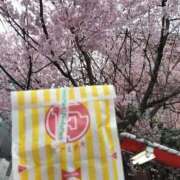 ヒメ日記 2026/04/05 17:20 投稿 シオン 人妻生レンタル