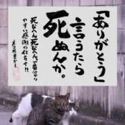ヒメ日記 2026/04/07 20:36 投稿 シオン 人妻生レンタル