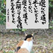 ヒメ日記 2026/04/09 22:08 投稿 シオン 人妻生レンタル