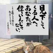 ヒメ日記 2026/04/10 20:02 投稿 シオン 人妻生レンタル