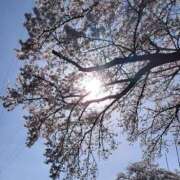 ヒメ日記 2026/04/19 08:20 投稿 シオン 人妻生レンタル