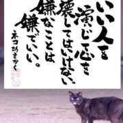 ヒメ日記 2026/04/24 12:40 投稿 シオン 人妻生レンタル