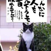 ヒメ日記 2026/07/18 08:50 投稿 シオン 人妻生レンタルNTR