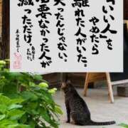 ヒメ日記 2026/07/27 08:50 投稿 シオン 人妻生レンタルNTR