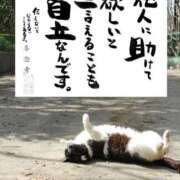 ヒメ日記 2026/08/01 08:21 投稿 シオン 人妻生レンタルNTR