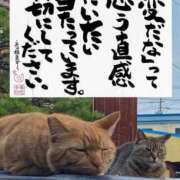 シオン おはようございます♡ 人妻生レンタルNTR