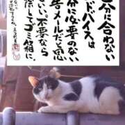 ヒメ日記 2026/08/08 06:08 投稿 シオン 人妻生レンタルNTR