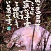 ヒメ日記 2026/08/18 05:50 投稿 シオン 人妻生レンタルNTR