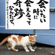 ヒメ日記 2026/08/23 14:50 投稿 シオン 人妻生レンタルNTR