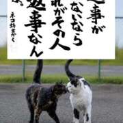 ヒメ日記 2026/08/23 21:20 投稿 シオン 人妻生レンタルNTR