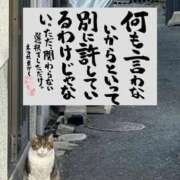 ヒメ日記 2026/08/29 09:57 投稿 シオン 人妻生レンタルNTR