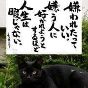 シオン こんにちは♡ 人妻生レンタルNTR