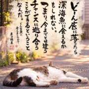 ヒメ日記 2026/09/25 12:24 投稿 シオン 人妻生レンタルNTR