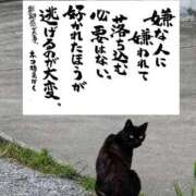 ヒメ日記 2026/10/05 15:34 投稿 シオン 人妻生レンタルNTR