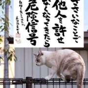 ヒメ日記 2026/10/06 09:21 投稿 シオン 人妻生レンタルNTR