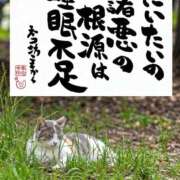 ヒメ日記 2026/10/08 08:20 投稿 シオン 人妻生レンタルNTR