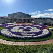 綴名　しおん 🎄 スタイリッシュ秘書