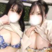 ヒメ日記 2024/12/14 17:50 投稿 伊勢 BBW（ビッグビューティフルウーマン）