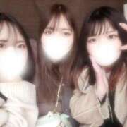 ヒメ日記 2024/12/29 12:25 投稿 伊勢 BBW（ビッグビューティフルウーマン）