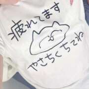 伊勢 🌸こんばんみー BBW（ビッグビューティフルウーマン）